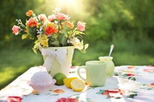 blog-7-stappen-naar-je-leeftuin-lente-3 blog 7 stappen naar je leeftuin lente 3